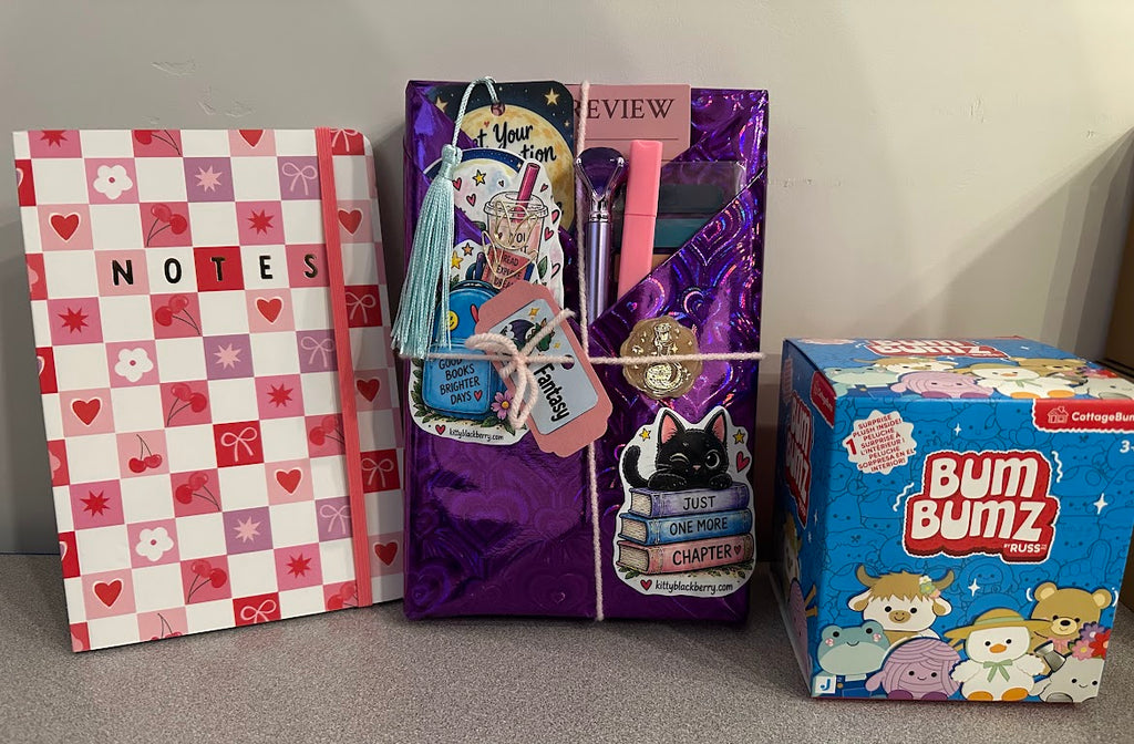 Hang Out with a Book – Mystery Book Box Ages 8–12